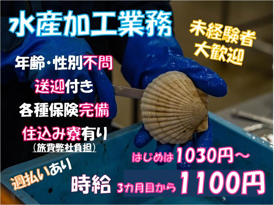 https://ql0x72.media.saiyo-job.jp/contents/data/34286ab0-a130-492a-98ad-e2fb1f98447f