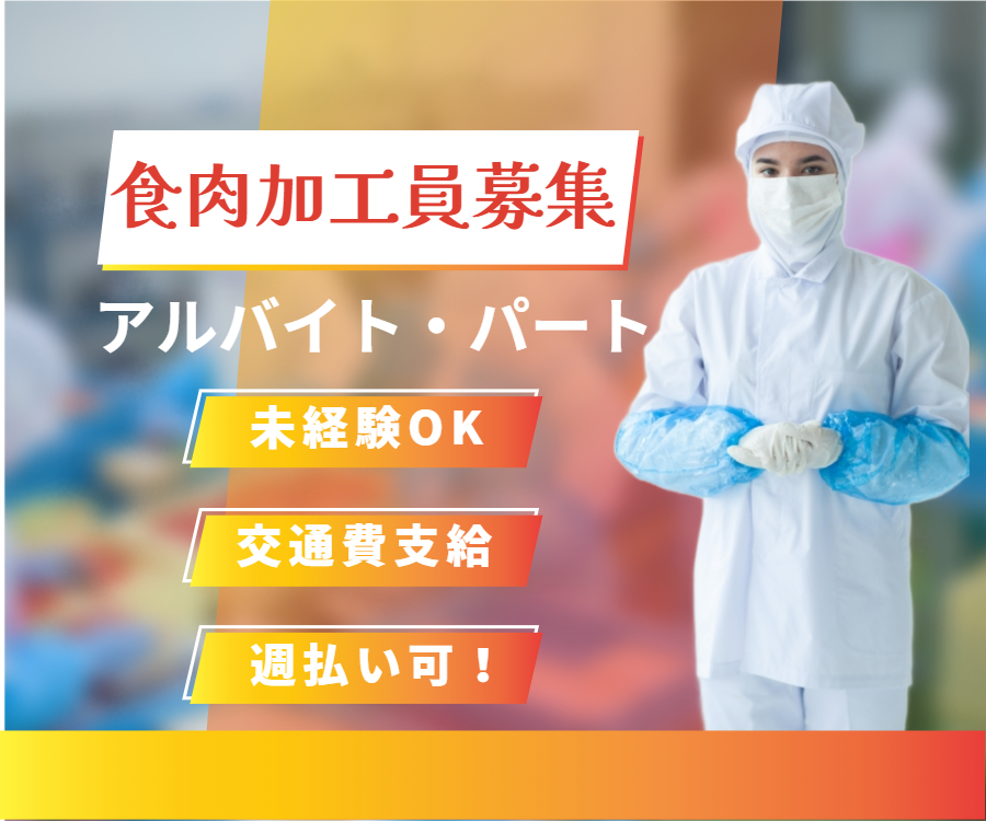 https://ql0x72.media.saiyo-job.jp/contents/data/a80708f6-7d66-48b8-8928-740f9fdfcb3e